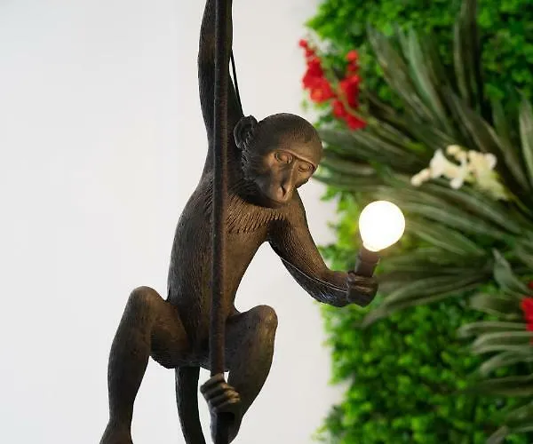 Zoe Hotel, Trypiti & Hive Water Park 4* Limenaria (Thasos)